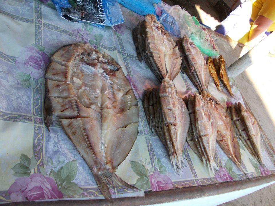 yamy - 992793442918579148352547234442n.jpg